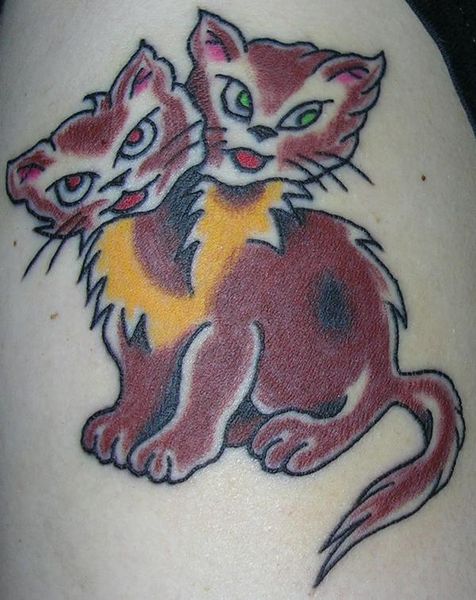 File:Twoheadedcat-toolvins.jpg