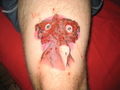 Twoheadeddog-tattoo.jpg